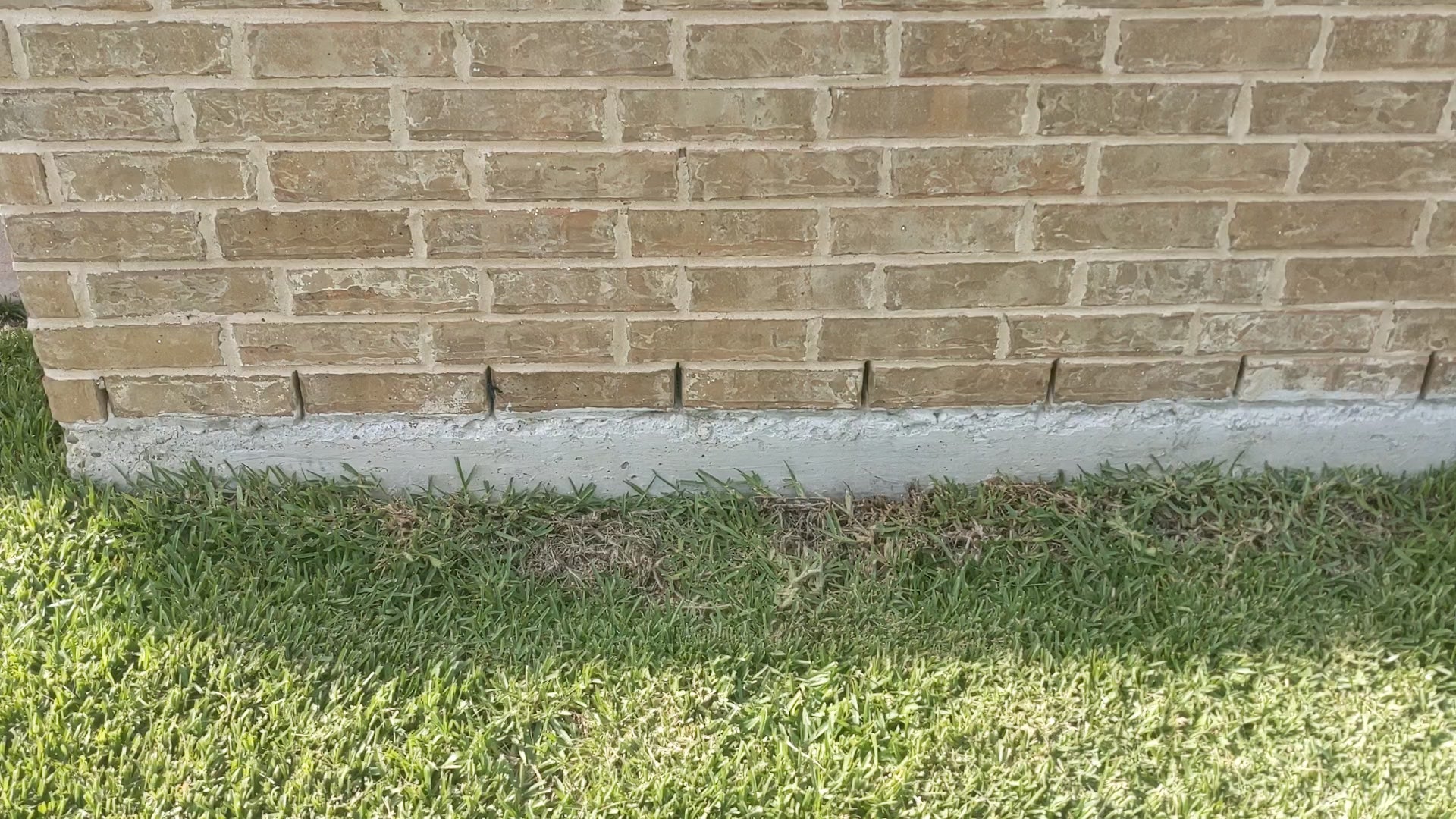 Weep Hole Pest Guard Kit